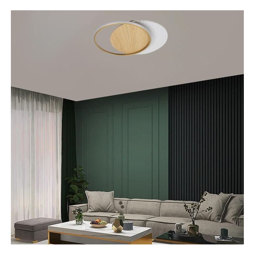 LED Dimmable ceiling light LED/60W/230V 3000-6500K + remote control