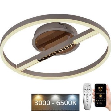 LED Dimmable ceiling light LED/60W/230V 3000-6500K + remote control