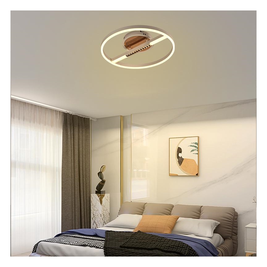 LED Dimmable ceiling light LED/60W/230V 3000-6500K + remote control