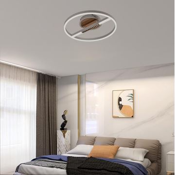 LED Dimmable ceiling light LED/60W/230V 3000-6500K + remote control