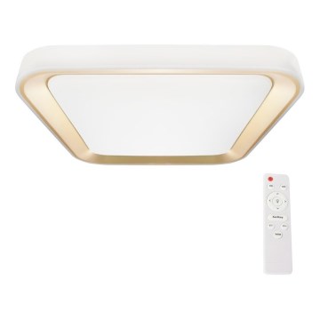 LED Dimmable ceiling light QUADRO LED/66W/230V 3000-6000K white/gold + remote control