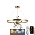 LED Dimmable chandelier on a string LED/55W/230V 3000-6500K gold + remote control