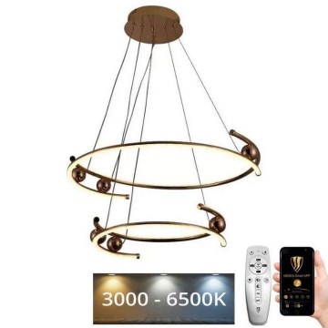 LED Dimmable chandelier on a string LED/80W/230V 3000-6500K + remote control