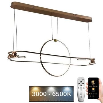 LED Dimmable chandelier on a string LED/95W/230V 3000-6500K + remote control