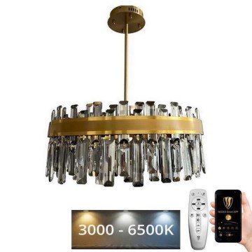 LED Dimmable crystal chandelier on a pole LED/80W/230V 3000-6500K + remote control