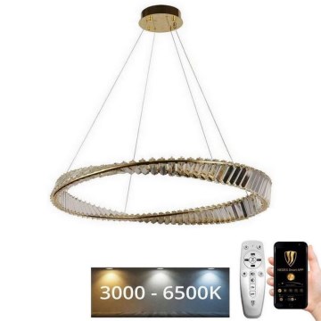 LED Dimmable crystal chandelier on a string LED/50W/230V 3000-6500K + remote control