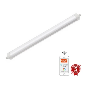 LED Dimmable heavy-duty light LED/40W/230V 3000-6500K Wi-Fi Tuya IP65