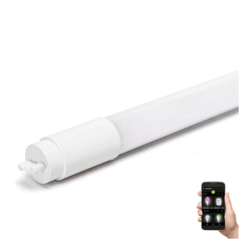 LED Fluorescent tube T8/10W/230V 6500K 60 cm - Aigostar