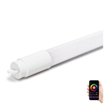 LED Fluorescent tube T8/18W/230V 2700-6500K 120 cm - Aigostar