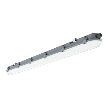 LED Heavy-duty fluorescent light M-SERIES LED/36W/230V 6400K 120cm IP65