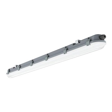 LED Heavy-duty fluorescent light M-SERIES LED/48W/230V 6500K 150cm IP65