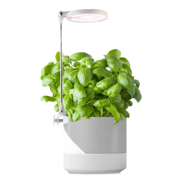 LED Interior lamp for growing plants LED/10W/5V 3200K