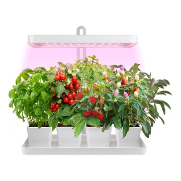 LED Interior lamp for growing plants LED/20W/5V 3500K