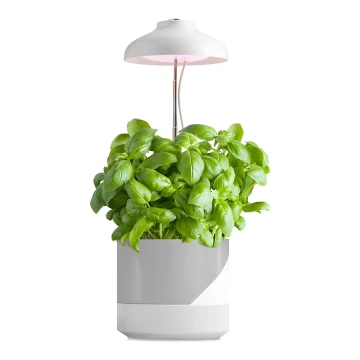 LED Interior lamp for growing plants LED/5W/5V 3200K