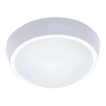 LED Outdoor ceiling light 1xLED/30W/230V  IP65