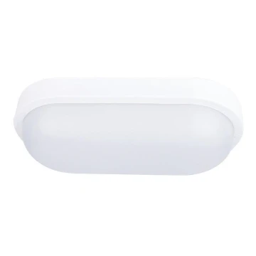 LED Outdoor ceiling light LED/20W/230V IP54