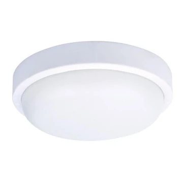 LED Outdoor ceiling light LED/20W/230V IP54