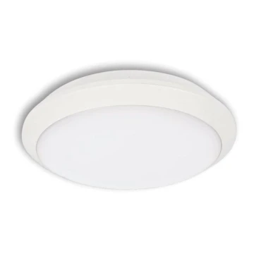 LED Outdoor ceiling light TIPO LED/24W/230V IP66