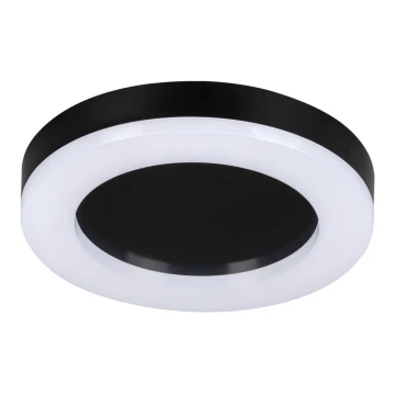 LED Outdoor ceiling light TURA LED/24W/230V 4000K IP54 black