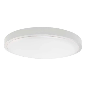 LED Outdoor ceiling light with a sensor LED/30W/230V 4000K IP44 white