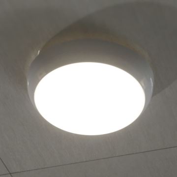 LED Outdoor ceiling light with sensor LED/8W/16W/20W/230V IP65 3000/4000/6500K