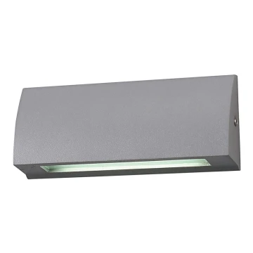 LED Outdoor wall light LED/10W/230V IP54