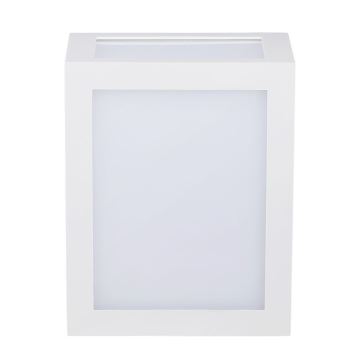 LED Outdoor wall light LED/12W/230V IP65 4000K white