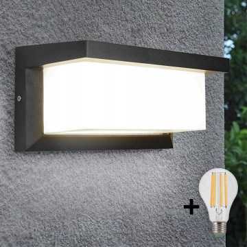 LED Outdoor wall light NEELY 1xE27/9W/230V 3000K IP54 anthracite