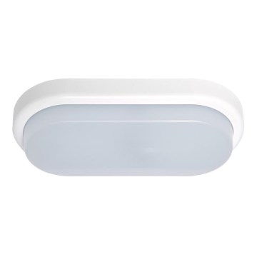 LED Outdoor wall light OVAL LED/12W/230V IP54