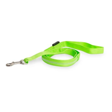 LED Rechargeable leash 120 cm 2xCR2032/5V/40 mAh green