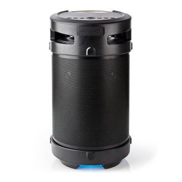 LED Rechargeable speaker 210W/4400 mAh IPX5