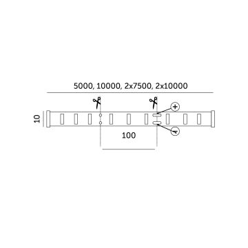 LED RGB Dimmable strip LED/12,5W/230V 5 m + remote control