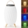 LED RGB Rechargeable table lamp with a speaker 60W/2200 mAh IPX5