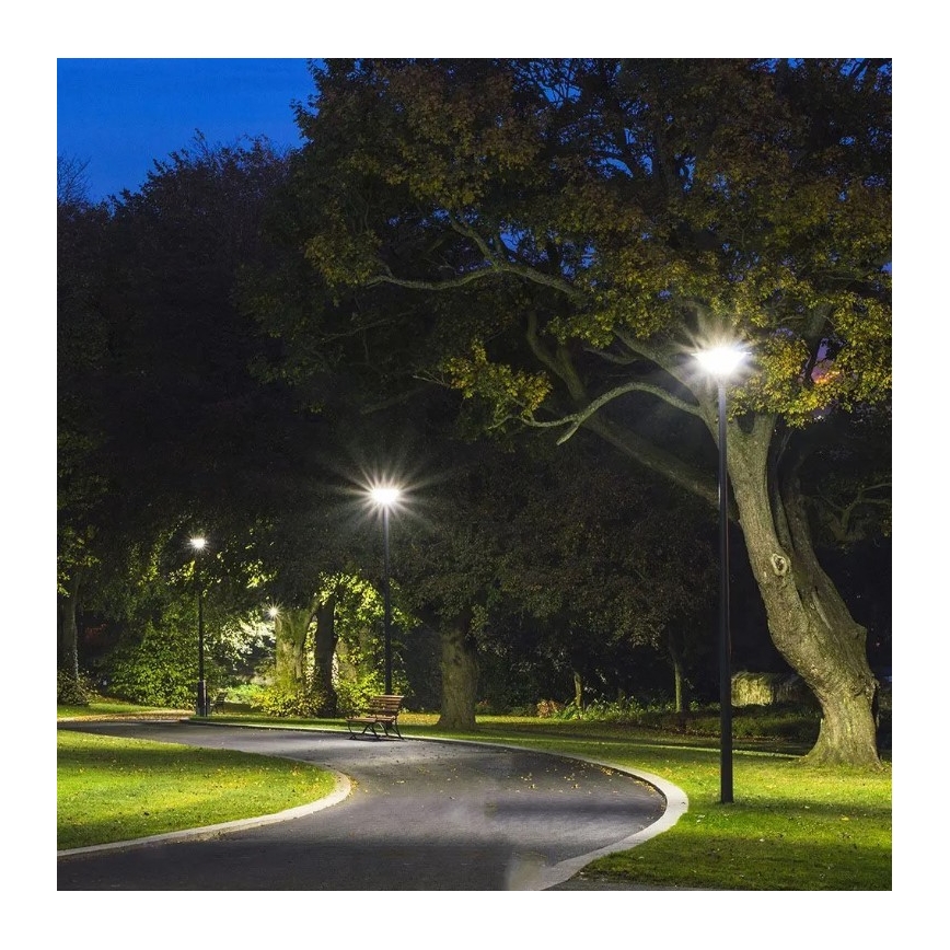 LED Solar street lamp with a sensor LED/10W/3,2V 6500K IP65 + remote control