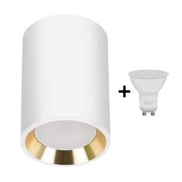 LED Spotlight CHLOE 1xGU10/6W/230V round white/gold