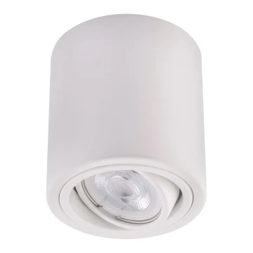 LED Spotlight TUBA 1xGU10/5W/230V 4000K white