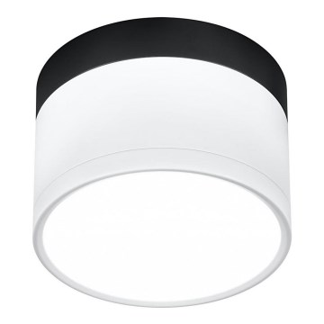 LED Spotlight TUBA LED/9W/230V white/black