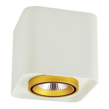 LED Spotlight XENO LED/15W/230V white 1200lm