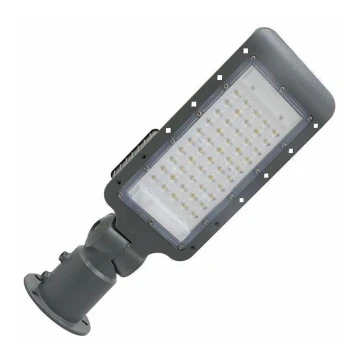 LED Street lamp LED/50W/170-400V IP65
