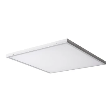 LED Surface-mounted panel BAREV LED/40W/230V 4000K 60x60 cm