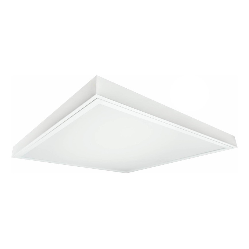 LED Surface-mounted panel ILLY LED/36W/230V