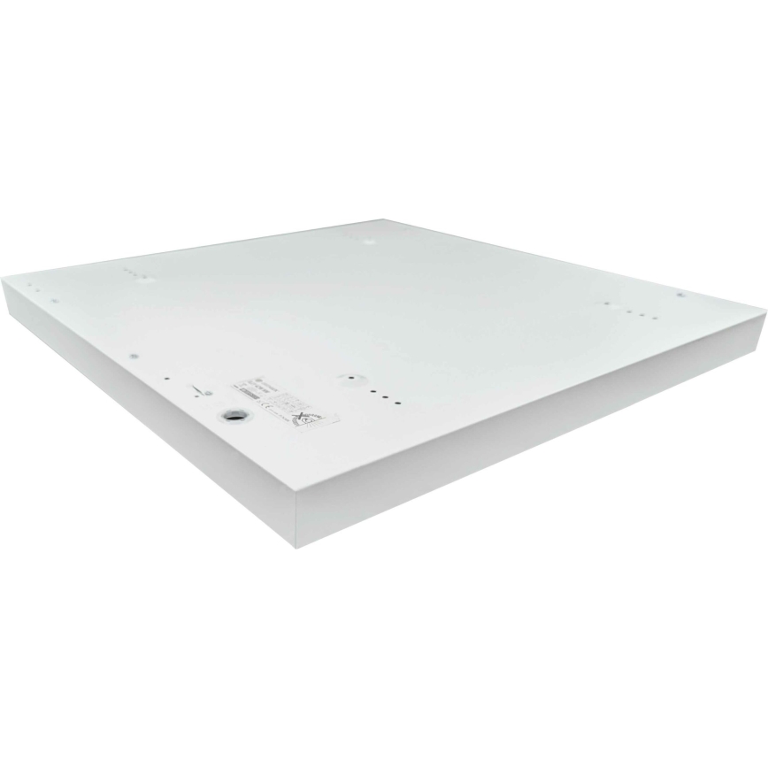 LED Surface-mounted panel ILLY LED/36W/230V