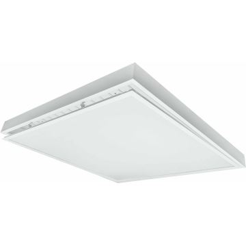 LED Surface-mounted panel ILLY LED/36W/230V