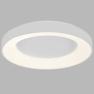 LED2 - LED Ceiling light BELLA LED/40W/230V 3000/4000K white