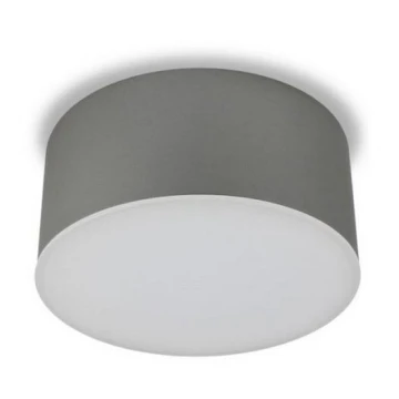 LED2 - LED Ceiling light BUTTON LED/17W/230V silver