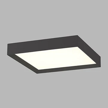 LED2 - LED Ceiling light MILO LED/60W/230V 3000/4000K