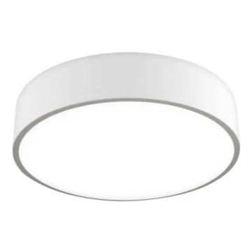 LED2 - LED Ceiling light MONO LED/60W/230V 3000/4000K white