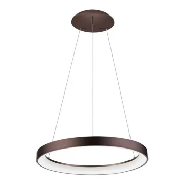 LED2 - LED Chandelier on a string BELLA LED/48W/230V 3000K/4000K brown