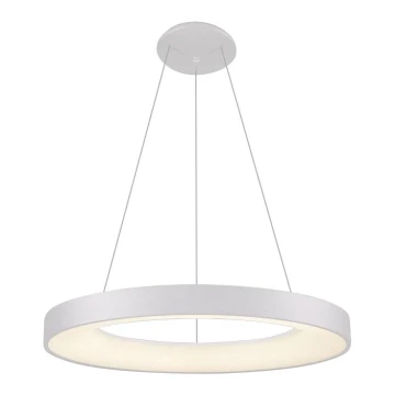 LED2 - LED Chandelier on a string BELLA LED/50W/230V 3000K d. 60 cm white