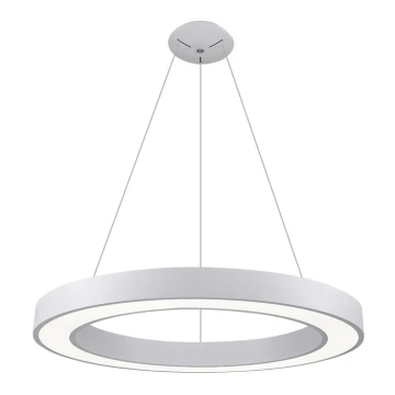 LED2 - LED Chandelier on a string SATURN LED/80W/230V 4000K d. 80 cm white